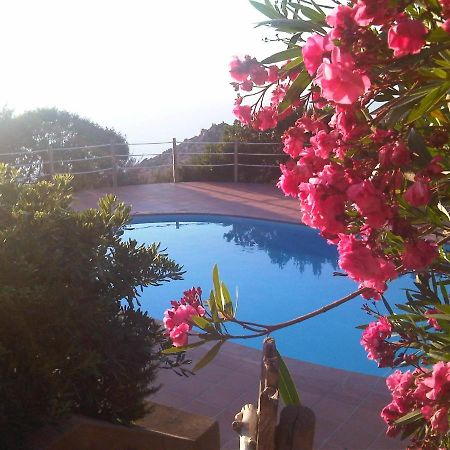 Domus De Janas Βίλα Costa Paradiso Εξωτερικό φωτογραφία