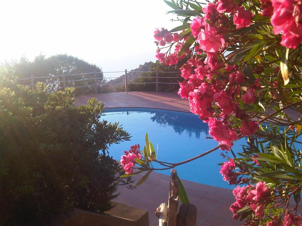 Domus De Janas Βίλα Costa Paradiso Εξωτερικό φωτογραφία