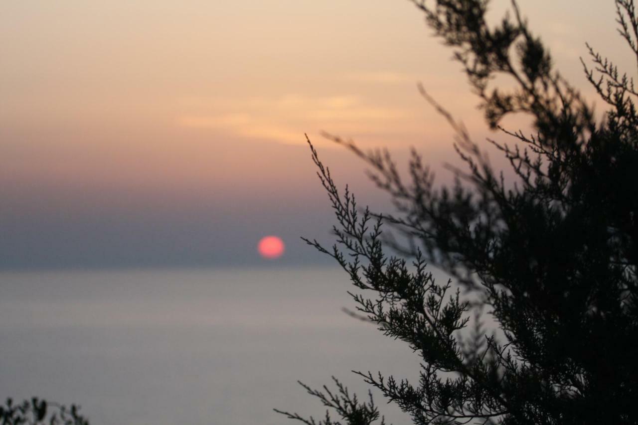 Domus De Janas Βίλα Costa Paradiso Εξωτερικό φωτογραφία